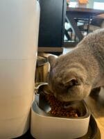 Automatische voerbak voor katten met camera (4L) - Afbeelding 4