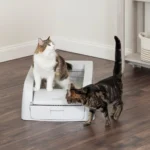 ScoopFree™ Clumping Self-Cleaning Litter Box - Afbeelding 6